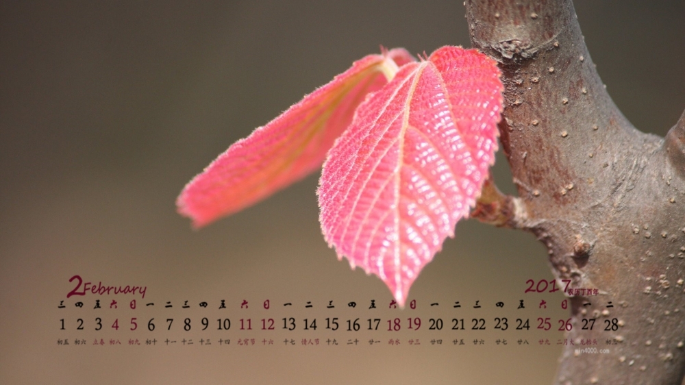 2017年2月红色嫩芽高清桌面日历壁纸