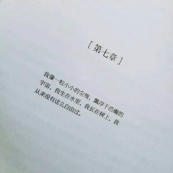 那条来时的路，谢谢你曾与我同行