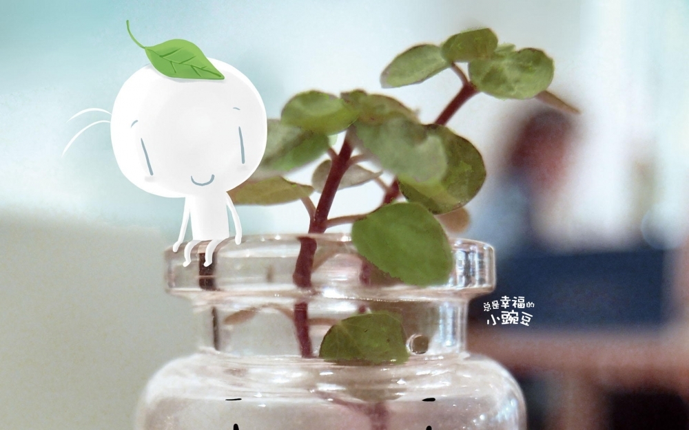幸福的小豌豆电脑壁纸