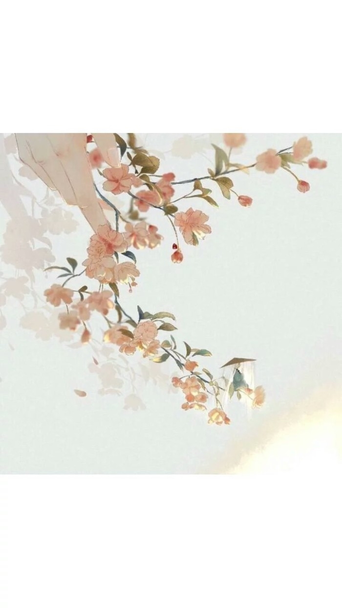 名片  背景图