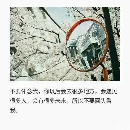 总有一些人会慢慢淡出你的生活，你要学会接受，而不是怀念