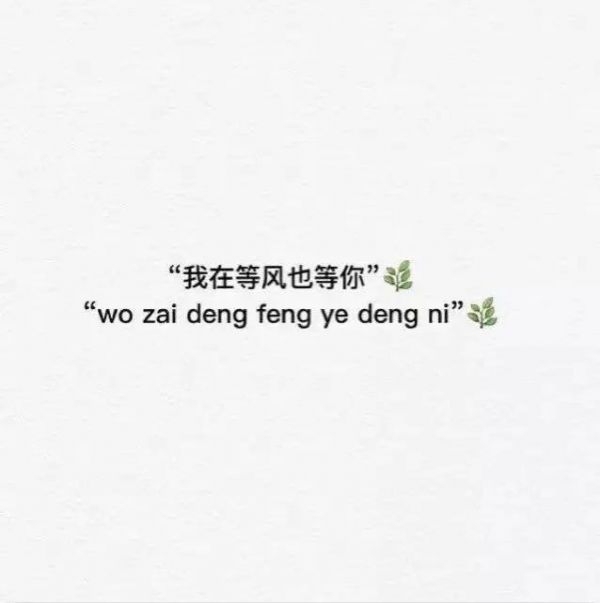 伤感不值得