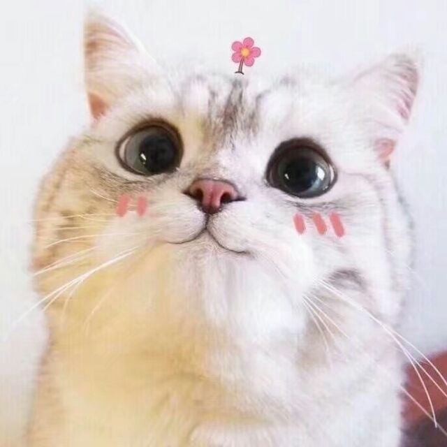 我的愿望是 能再见到你