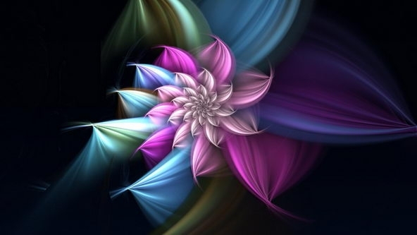 梦幻花朵高清电脑桌面大全 第二辑