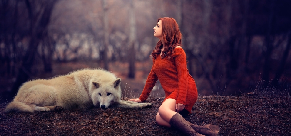 森林,狼,女孩,毛衣,桌面壁纸