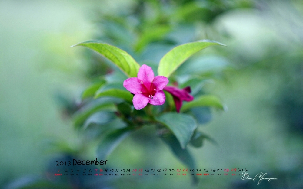 2013年12月日历高清风景壁纸