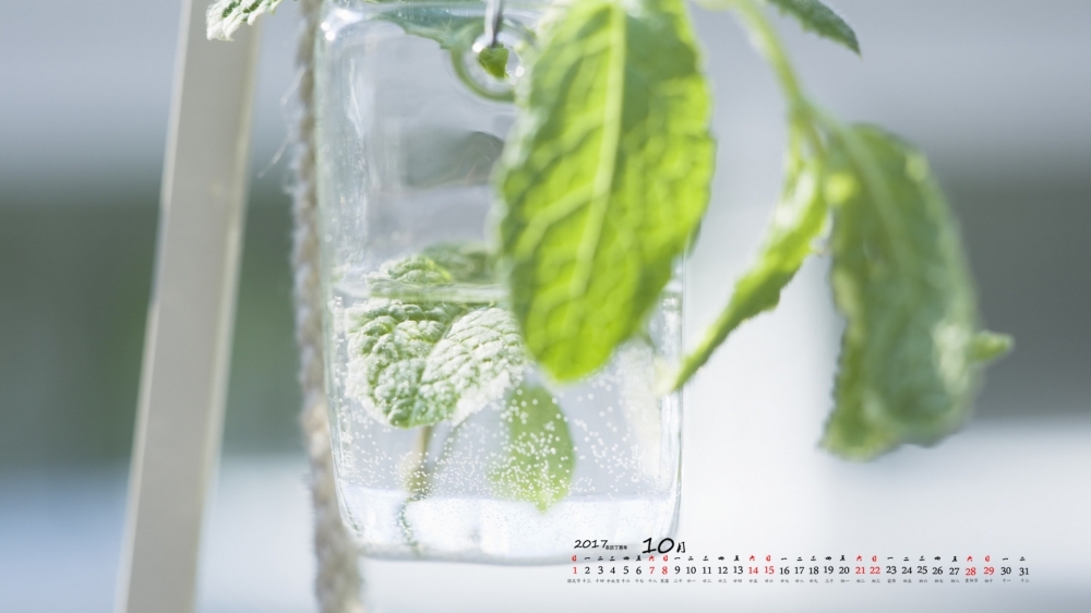 2017年10月室内植物小清新日历壁纸