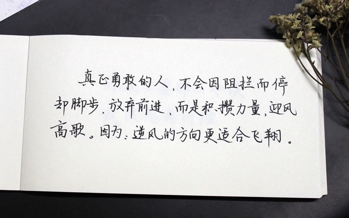 南风：我想和你一起
