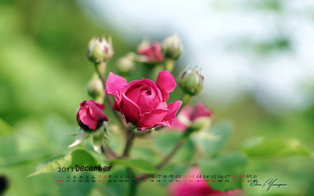 2013年12月日历高清风景壁纸