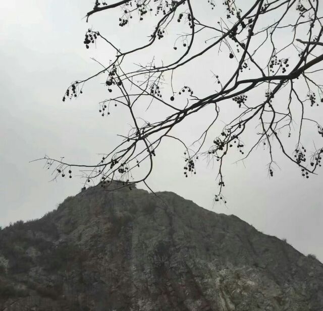給我一點甜頭 我怕我要死掉