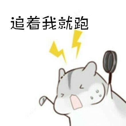 仓鼠夫妇
