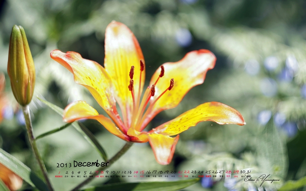 2013年12月日历高清风景壁纸