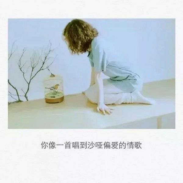 青涩不及当初聚散，不由你我