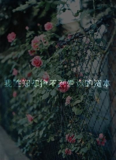 没有谁能击垮你 除非你自甘堕落