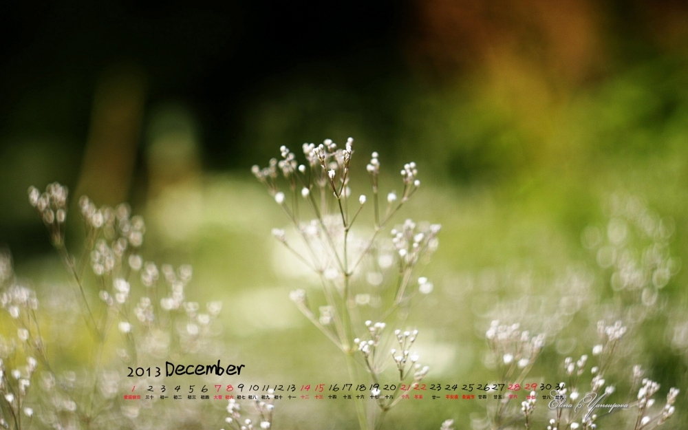 2013年12月日历高清风景壁纸