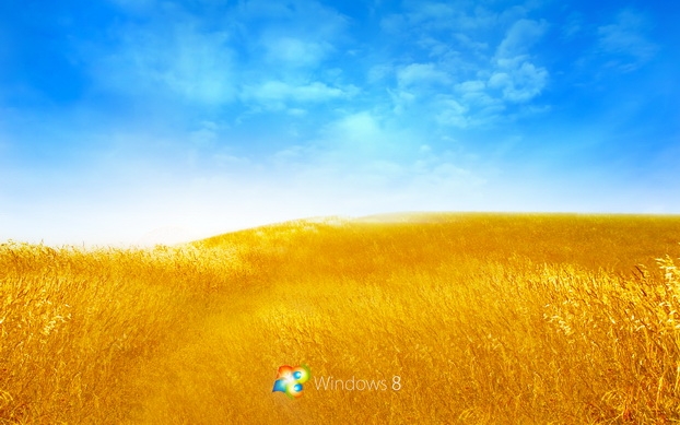 windows8高清壁纸 1920X1200【24P】