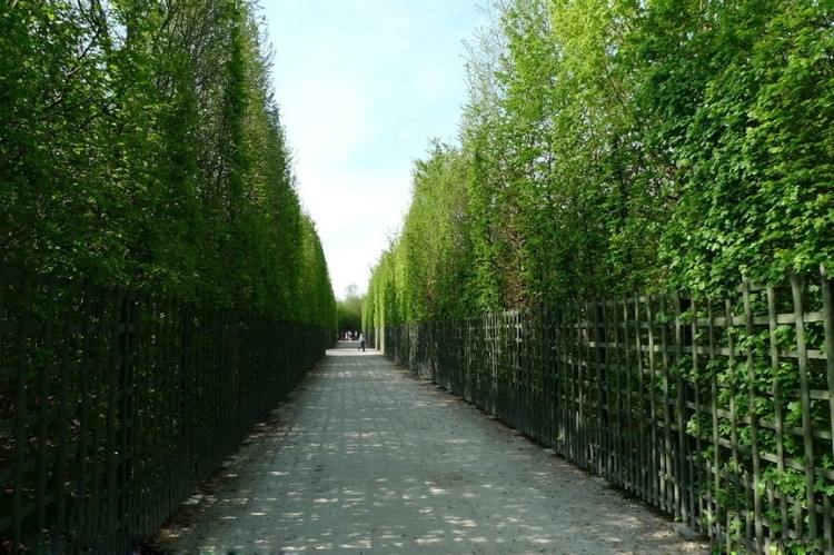 城市风景桌面壁纸