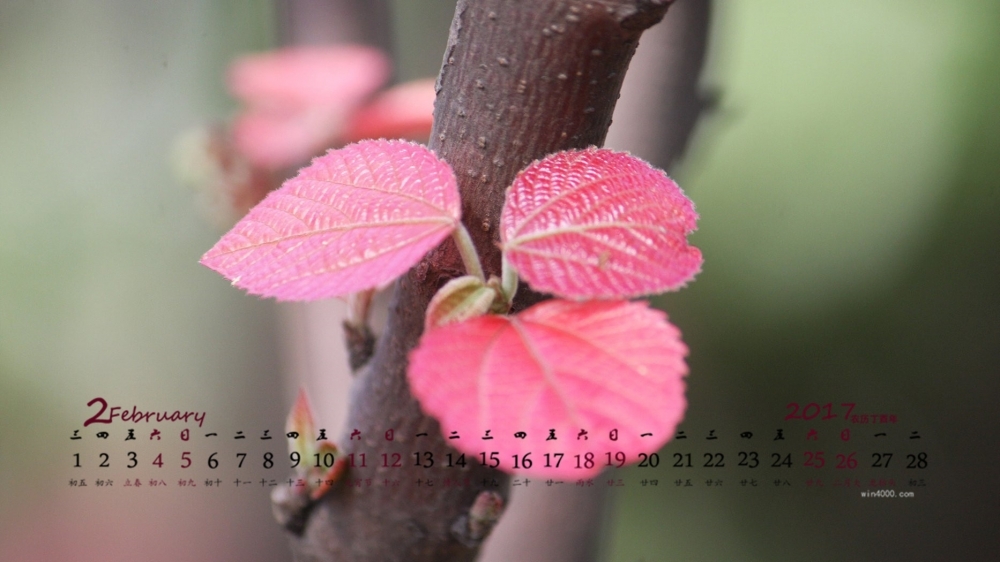 2017年2月红色嫩芽高清桌面日历壁纸