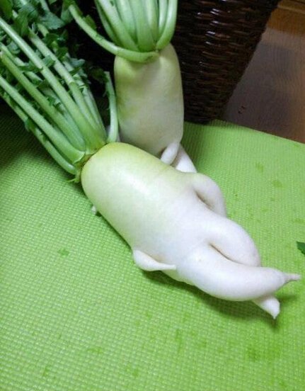 一个关于萝卜的爱情故事