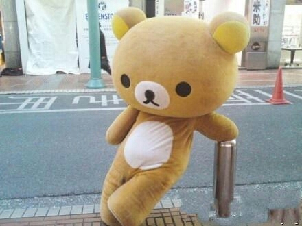 幼稚的可爱熊熊