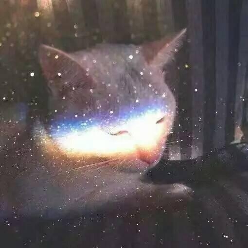一甜:精选背景图嗝♡留下小心心的都是小仙女~