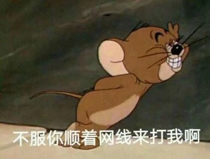 猫和老鼠？？？