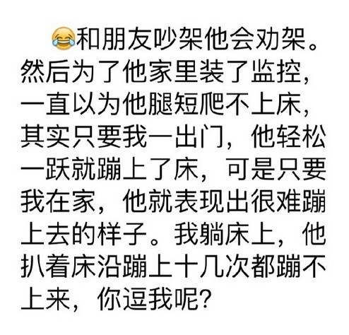 有没有一瞬间认为你们家宠物成精了？