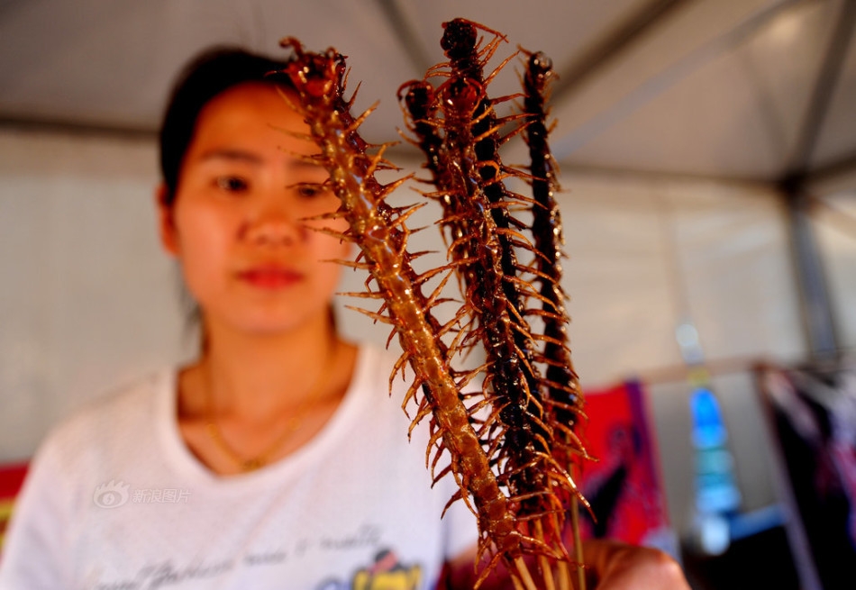 沈阳肉虫料理登场挑战味觉极限