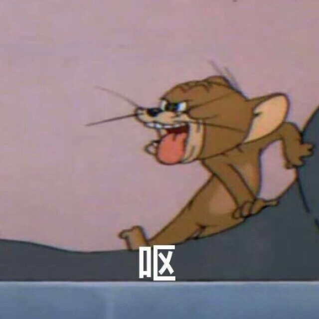 猫和老鼠？？？