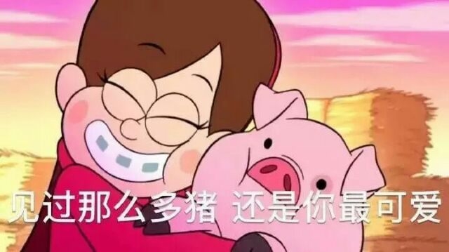 九儿：你是我全世界最喜欢的猪