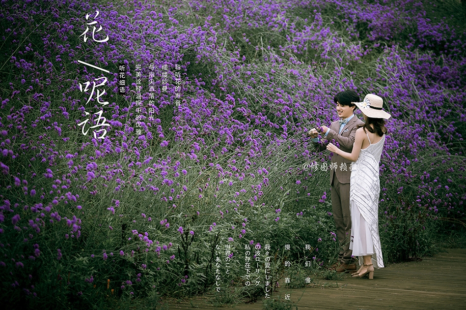 花呢语 婚纱照