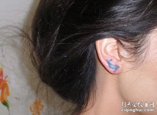 耳垂上的蓝色小海豚纹身图案