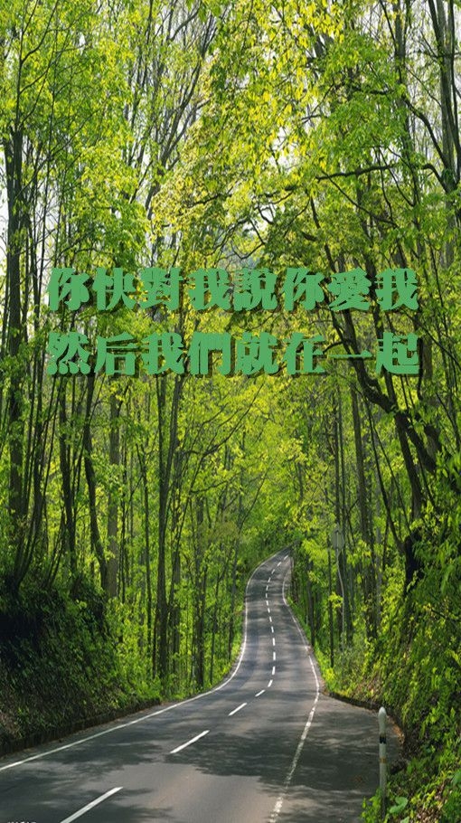 你快说我爱你然后我们在一起 意境文字图片