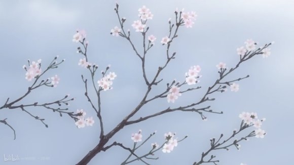 嗯…总是会有遗憾
