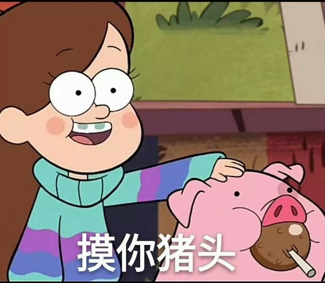 九儿：你是我全世界最喜欢的猪