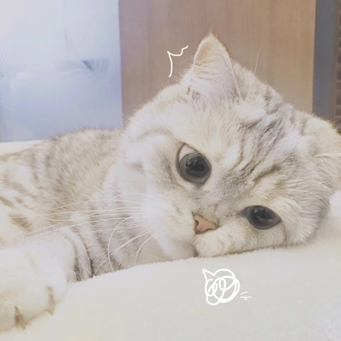 顾辞：不敢喝酒 但是敢钻你怀.