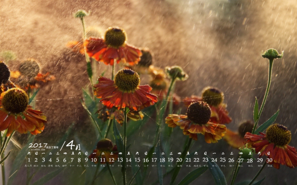 2017年4月好看的红色花卉高清日历壁纸