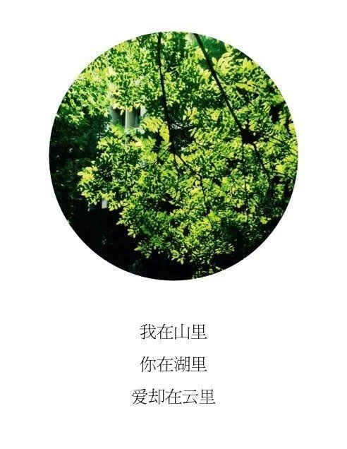 胆小鬼：文字图片