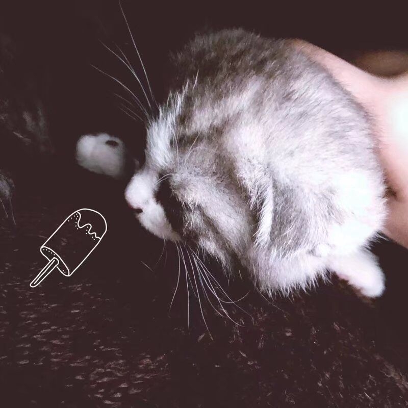 相逢恨晚 造物弄人