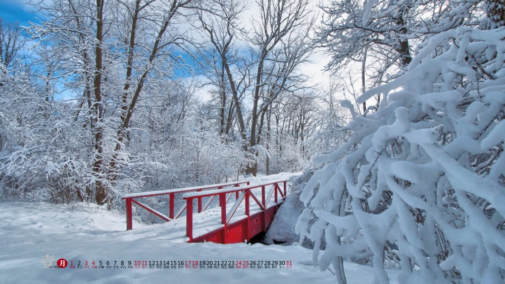 2017年1月唯美雪景自然风光日历壁纸