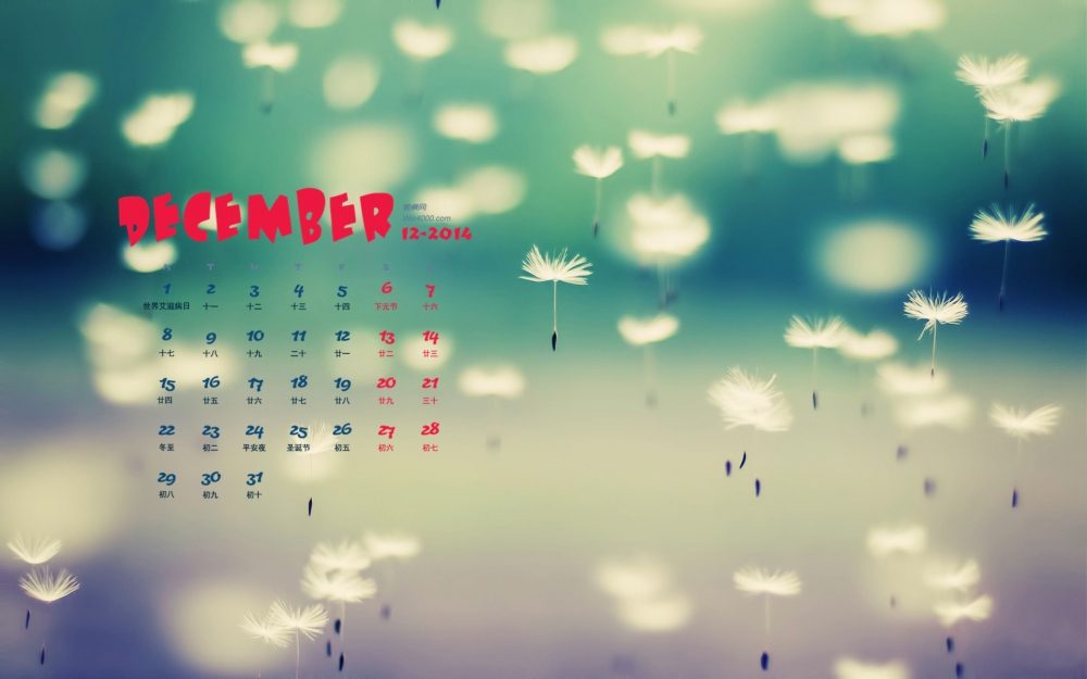 2014年12月日历梦幻花朵系列清新植物高清电脑桌面壁纸