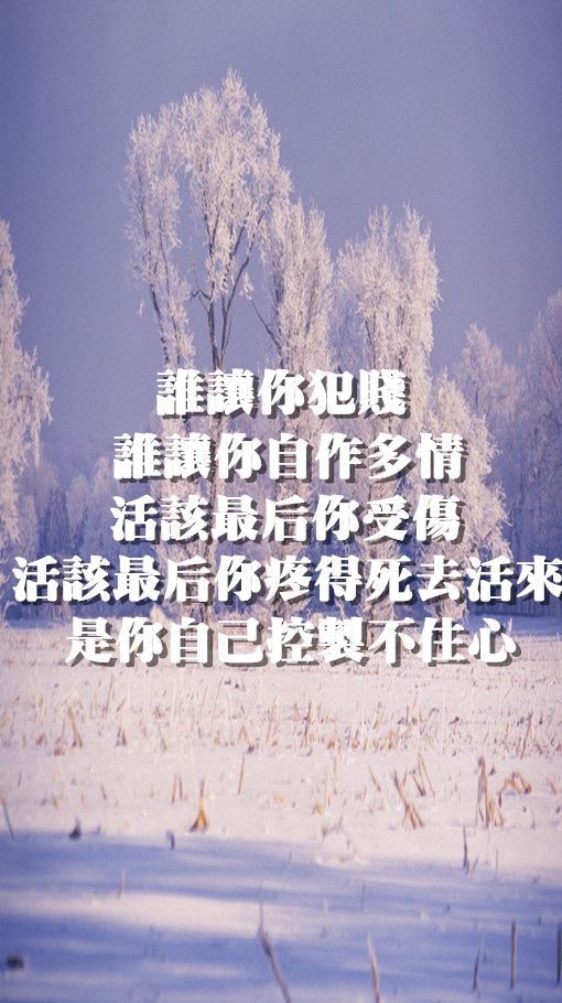 你快说我爱你然后我们在一起 意境文字图片