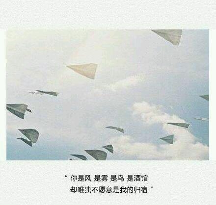 孤独是壶滚烫的酒，烧坏了喉咙还说不出口