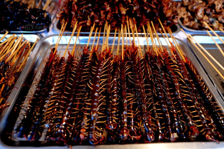 沈阳肉虫料理登场挑战味觉极限