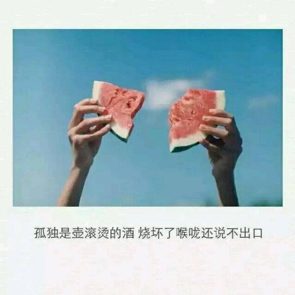 孤独是壶滚烫的酒，烧坏了喉咙还说不出口