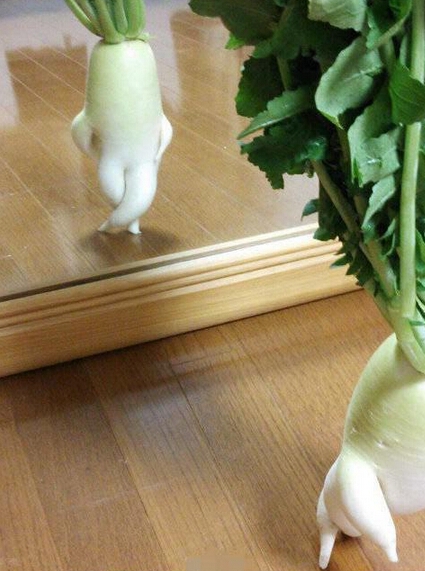 一个关于萝卜的爱情故事