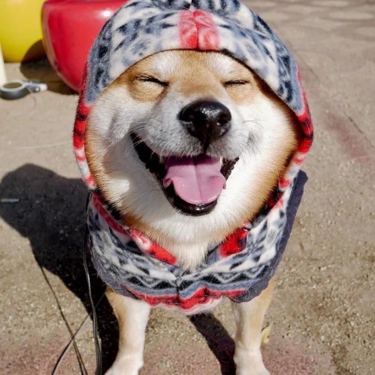 笑一笑 没什么大不了