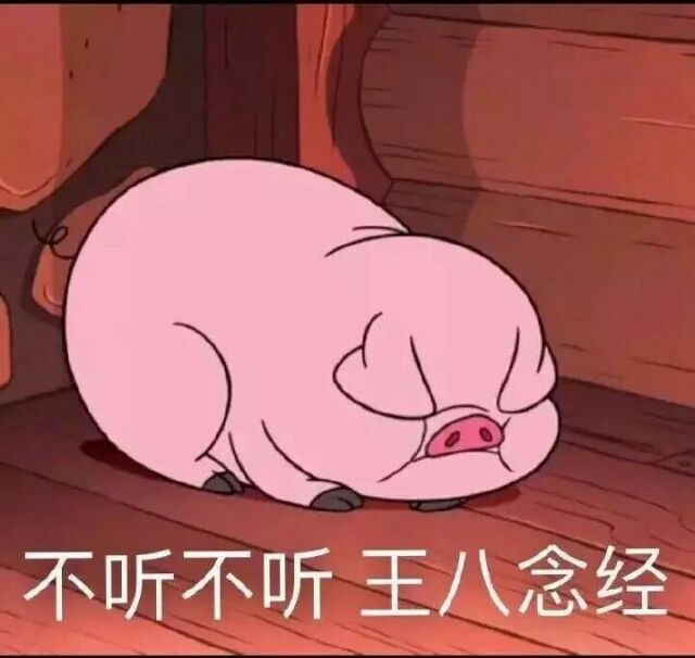 九儿：你是我全世界最喜欢的猪