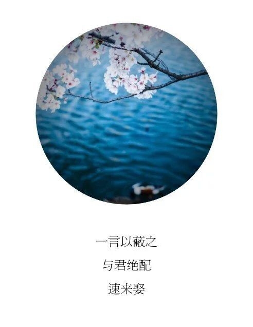 胆小鬼：文字图片
