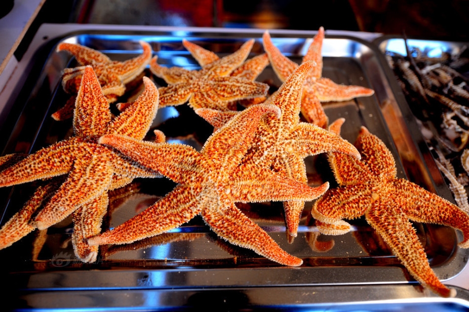 沈阳肉虫料理登场挑战味觉极限